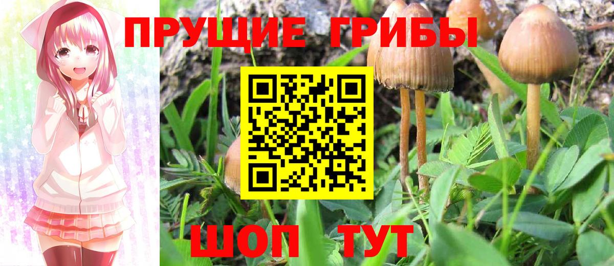 Мирный  Галлюциногенные грибы Psilocybine cubensis  Вход с VPN  Галлюциногенные грибы мухоморы 